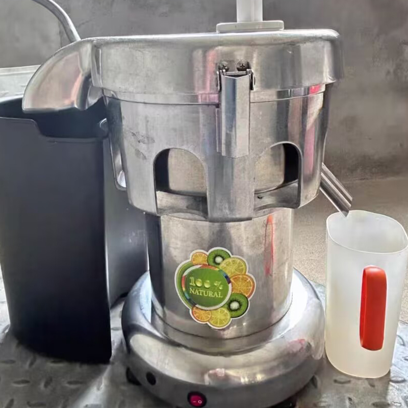 Juicer - 220V Elektrische Professionele Slow Juicer Extractor