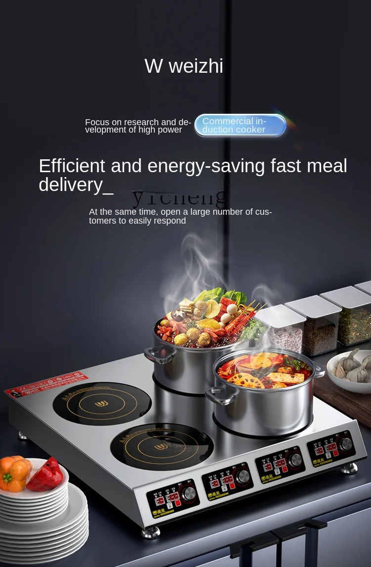 Induction Cooker - Commerciële inductiekookplaat met meerdere kookzones, 3500W,