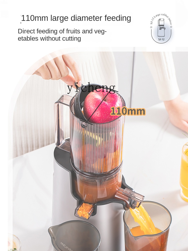Juicer - cc28 Sapcentrifuge Automatische sap-slag scheiding Nieuwe