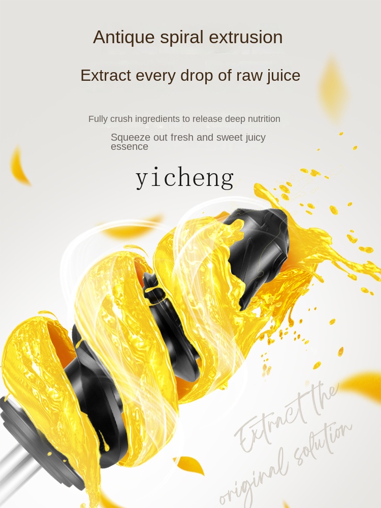 cc28 Low Speed Juicer Sapcentr - Juicer recensie en prijs
