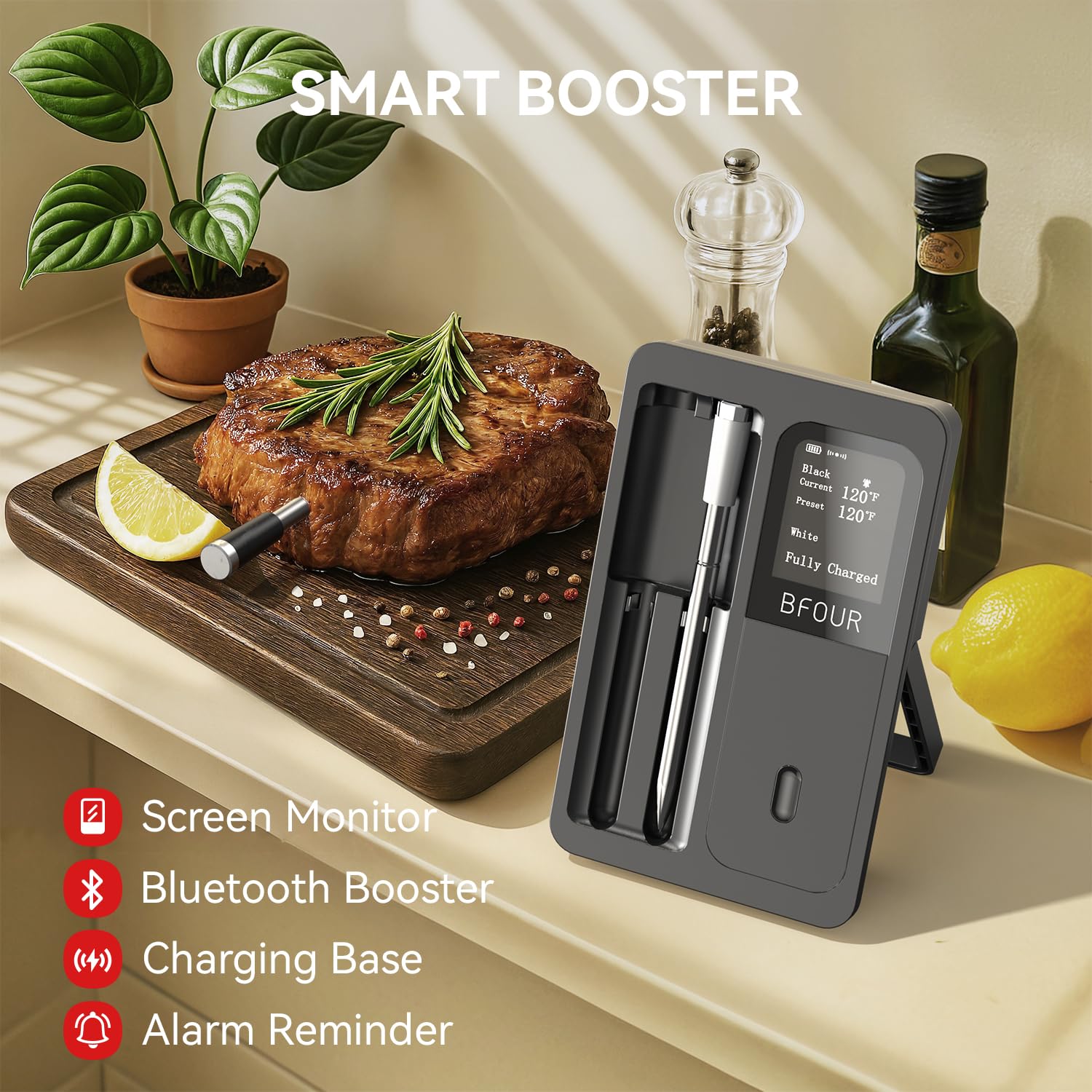 Draadloze vleesthermometer Blu - Kitchen Appliances Video recensie en prijs