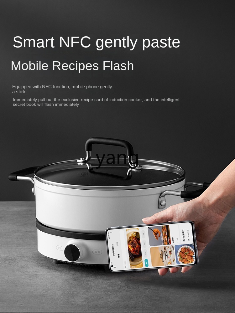 LMM Inductiekookplaat Huishoud - Induction Cooker recensie en prijs