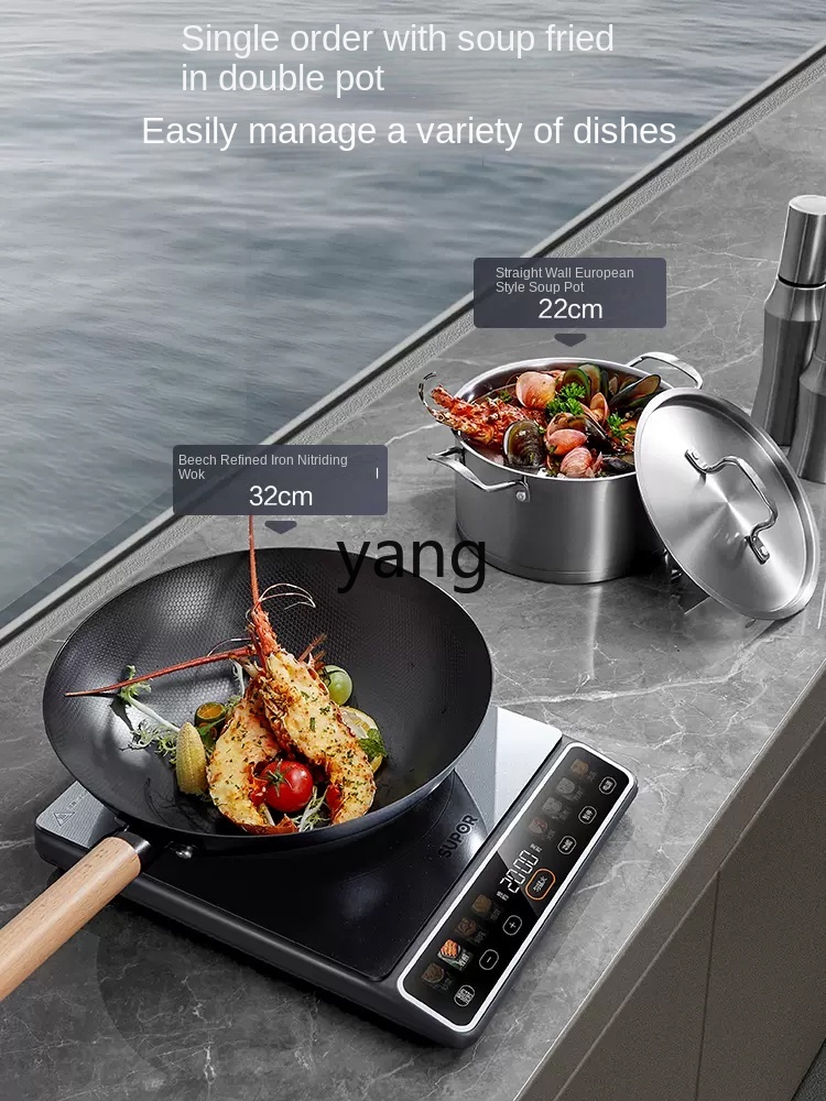 LMM High-Power 2200W Huishoude - Induction Cooker recensie en prijs